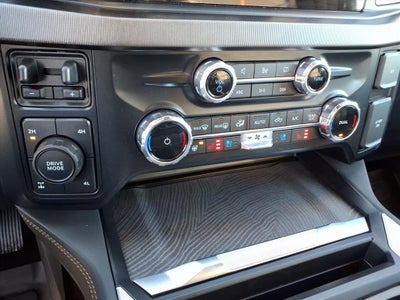 2024 Ford F-250 Platinum