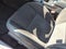 2021 Dodge Charger R/T RWD